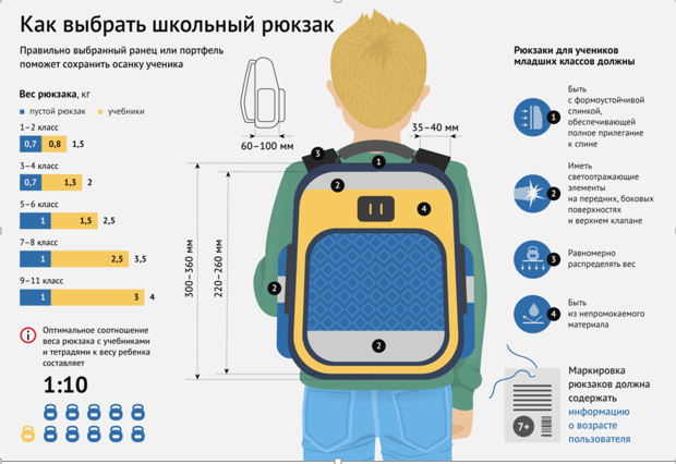 Рекомендации по выбору школьного рюкзака.