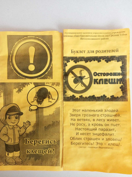 ОСТОРОЖНО, КЛЕЩИ!.